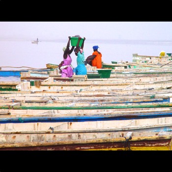  Senegal. Im Salz Afrikas 